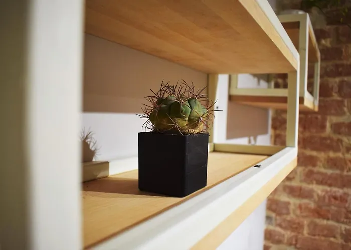 Art On Rynok Square * Leópolis